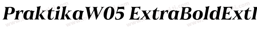 PraktikaW05 ExtraBoldExtIt字体转换